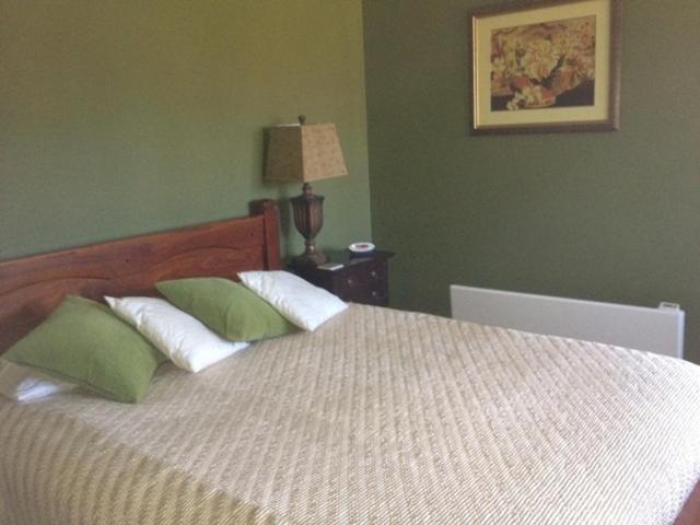 Greengate Bed And Breakfast 로버트슨 객실 사진
